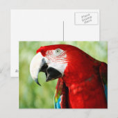 Carte Postale Rouge brillant (Devant / Derrière)