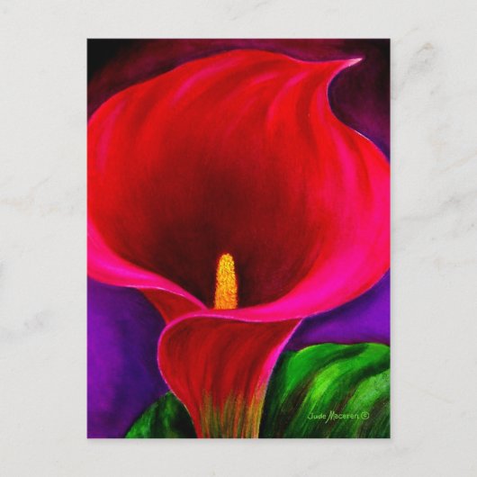 Carte Postale Rouge Cala Lily peinture à la floraison Art - Mult (Devant)