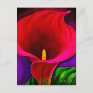 Carte Postale Rouge Cala Lily peinture à la floraison - Multi