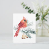 Carte Postale Rouge Cardinal Snowy Blue Spruce Branch Winter Sce (Debout devant)