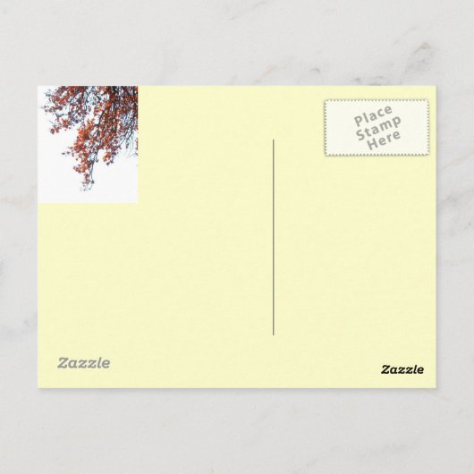 Carte postale-Rouge cerf-volant dans le collage du (Dos)