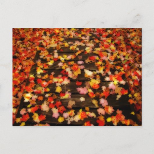 Carte Postale Rouge clair Jaune d'automne Maple Feuilles (Devant)