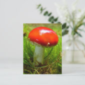 Carte Postale Rouge de champignon agarique (Debout devant)