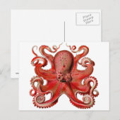 Carte Postale Rouge de poulpe de Haeckel (Devant / Derrière)