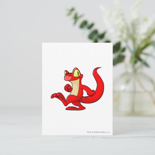 Carte Postale Rouge de Techo (Debout devant)