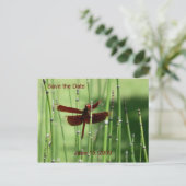 Carte postale Rouge Dragonfly (Debout devant)