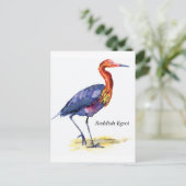 Carte postale rouge Egret (Debout devant)