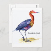 Carte postale rouge Egret (Devant / Derrière)