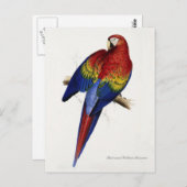 Carte postale rouge et jaune (Devant / Derrière)