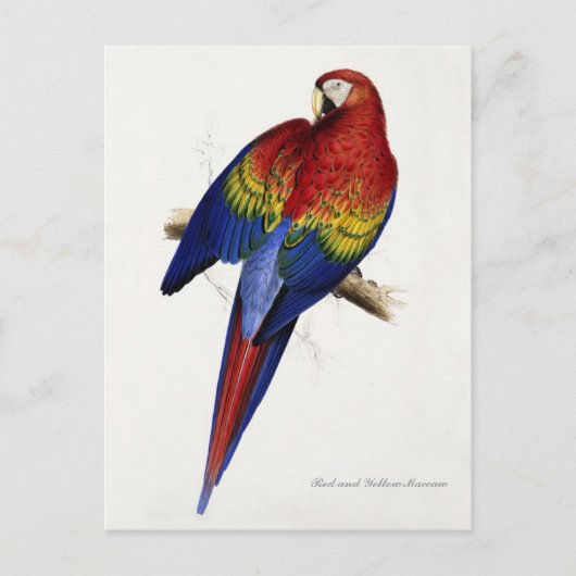 Carte postale rouge et jaune (Devant)