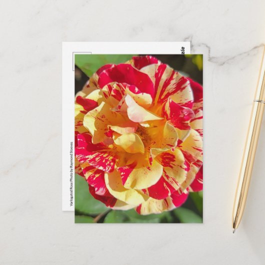 Carte postale rouge et jaune variée (Devant/Arrière en situation)