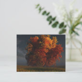 Carte postale Rouge et Or (Debout devant)