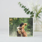 Carte Postale Rouge et tango en jeu (Debout devant)