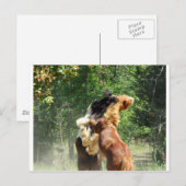 Carte Postale Rouge et tango en jeu (Devant / Derrière)