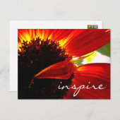 Carte Postale Rouge Gerbera Fleur marguerite Inspiration Script (Devant / Derrière)
