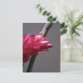 Carte postale Rouge Ginger Flower (Debout devant)