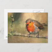 Carte Postale Rouge-gorge (Devant / Derrière)