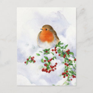 Carte postale - Rouge-gorge de Noël
