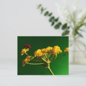 Carte Postale Rouge - Jaune - Vert (Debout devant)