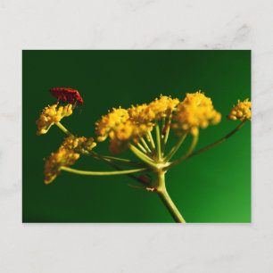 Carte Postale Rouge - Jaune - Vert