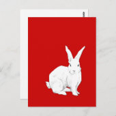Carte postale rouge lapin (Devant / Derrière)