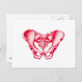 Carte Postale Rouge mâle Pelvis (Devant / Derrière)