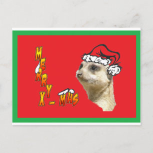 Carte postale rouge Meerkat de Noël