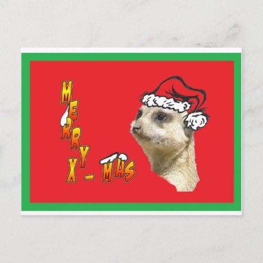 Carte postale rouge Meerkat de Noël (Devant)