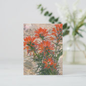 Carte postale Rouge Paintbrush (Debout devant)