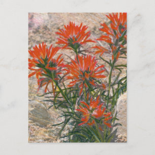 Carte postale Rouge Paintbrush