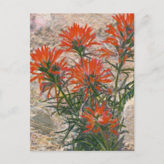 Carte postale Rouge Paintbrush
