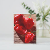 CARTE POSTALE ROUGE PEPPERS CHILI (Debout devant)