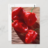 CARTE POSTALE ROUGE PEPPERS CHILI (Devant / Derrière)
