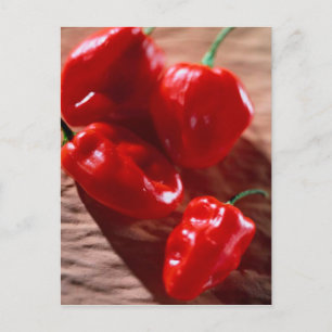 CARTE POSTALE ROUGE PEPPERS CHILI