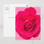 Carte Postale Rouge romantique Rose rose v2 (Devant / Derrière)