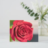 Carte Postale Rouge, rouge, rose (Debout devant)