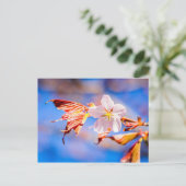 Carte Postale Rouge Sakura bleu ciel (Debout devant)