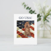 CARTE POSTALE ROUGE SETTER BOUCLE (Debout devant)