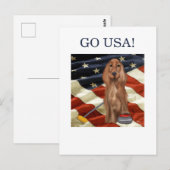 CARTE POSTALE ROUGE SETTER BOUCLE (Devant / Derrière)