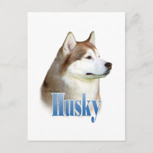 Carte Postale Rouge Sibérien Husky Nom
