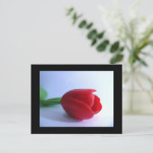 Carte postale rouge Tulip (Debout devant)