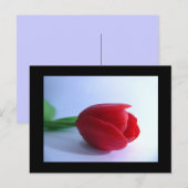 Carte postale rouge Tulip (Devant / Derrière)