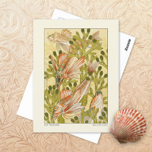 Carte Postale Rougets Rouget MP Verneuil