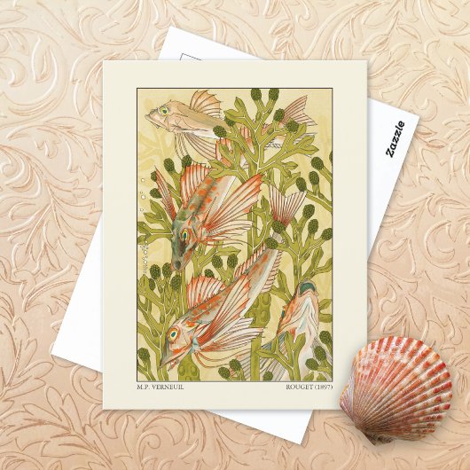 Carte Postale Rougets Rouget MP Verneuil
