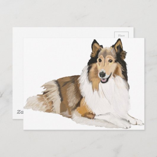 Carte Postale Rough Collie (Devant / Derrière)