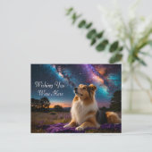 Carte Postale Rough Collie Under the Stars (Debout devant)