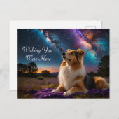 Carte Postale Rough Collie Under the Stars (Devant / Derrière)