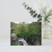 Carte Postale Roughlock Falls, Dakota du Sud (Debout devant)