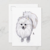 Carte postale roumaine 2019 (Devant / Derrière)