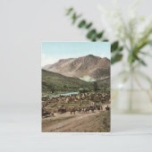 Carte Postale Round Up (Colorado, 1898) (Debout devant)